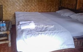 De Salak Homestay Gunung Salak RedPartner